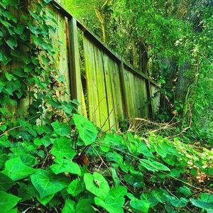 Meet your Posher, Michelinbalin